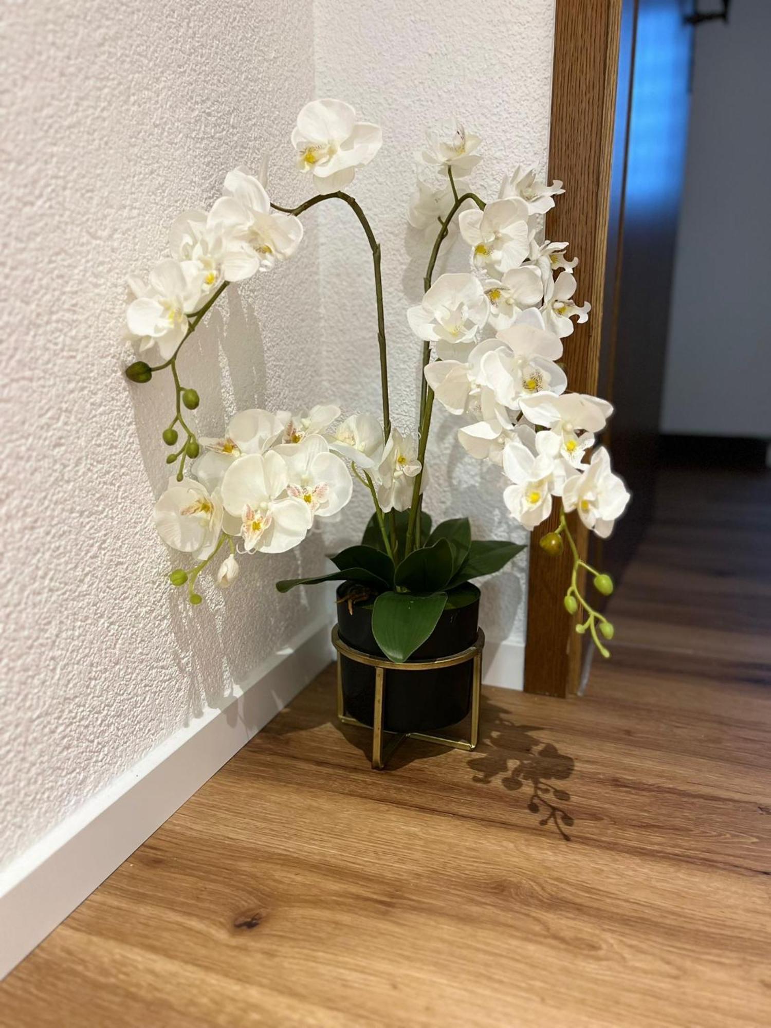 Ferienwohnung אסלינגן מראה חיצוני תמונה